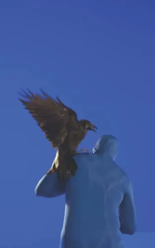 befores & afters - issue #4