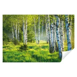 Wallarena Fototapete Wald Birkenwald Birken Sonne 3D EFFEKT Tapete Wohnzimmer Schlafzimmer, Glatt, Wald, Tapete inklusive Kleister Vliestapete Motivtapete 4.16 m x 2.9 m