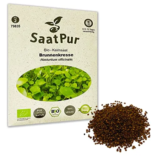 BIO Keimsprossen Brunnenkresse Bio Keimsaat von SaatPur - Sprossen Samen, Microgreens - 2g Grün