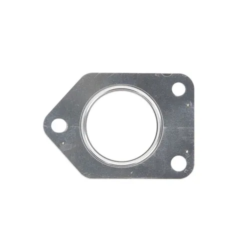 Elring Dichtung, Lader 362.191