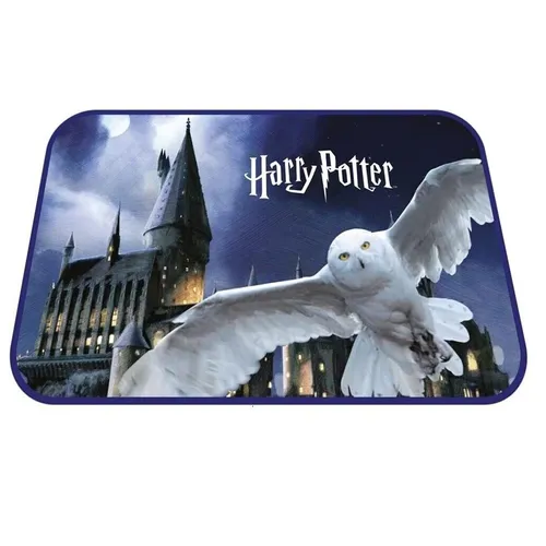 Harry Potter Teppich 40X60CM Memory, Badezimmer, Bettvorleger, Kinderzimmer