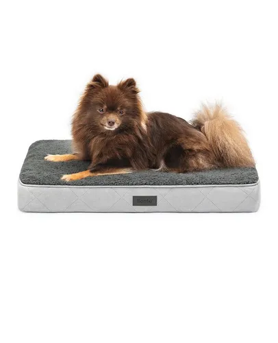 lionto Tierkissen orthopädisches Hundebett - Orthopädisches Tierbett für Hunde & Katzen, mit abnehmbarem und waschbarem Bezug, sorgt für optimalen Schlafkomfort und Gesundheit.