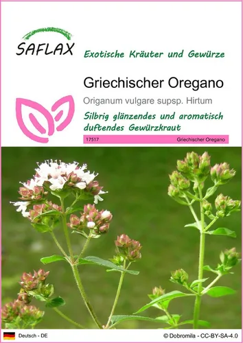 SAFLAX Kräutersamen SAFLAX - Samen - Griechischer Oregano