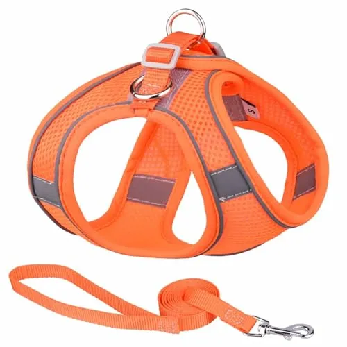Monkimau Atmungsaktives Hundegeschirr mit Leine | Mesh und Nylon | Ideal für kleine Hunde und Katzen | Größe XXS bis L (Orange, L)