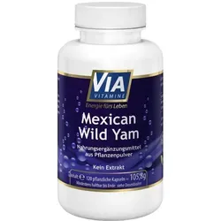 Mexican Wild Yam 120 Kapseln - 100% reine Yamswurzel in Kapseln, ideal für die tägliche Ergänzung, ohne Zusatzstoffe und Extrakte. Für eine natürliche Unterstützung in der Ernährung.