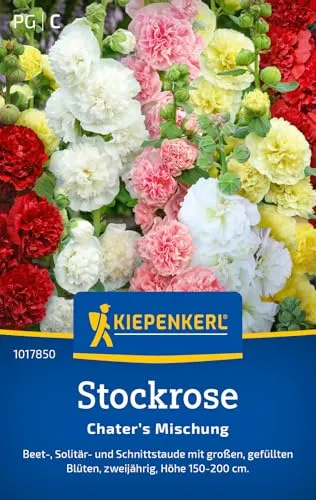 Kiepenkerl Stockrosensamen Chater’s Mischung 1017850 – Blumensamen für bunte Blütenfülle, langlebig & ideal für Garten und Vase – Stockrose Samen für 50 Pflanzen