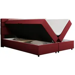 Panda Möbel Boxbett Reve, Hellgrau, 180x206 cm in rot von PANDA MÖBEL