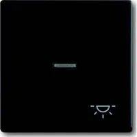 Wippe mit Symbol Licht schwarz, Retail