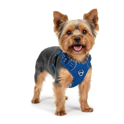 Reichstadt Pets Hundegeschirr – Verstellbares No-Pull Geschirr mit Griff & Reflektoren | Atmungsaktiv, Gepolstert & Strapazierfähig | Sicherheitsgeschirr für Kleine Hunde 25RSP083 Blue S