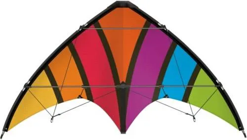 Günther Flugspiele 1088 - Sportlenkdrachen Top Loop, ca. 130 x 69 cm, reißfestes Ripstop-Polyester, ideal für Kinder ab 8 Jahren und Anfänger
