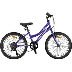 Zoll Kinder Fahrrad Mädchen MTB 20 Zoll Lila GRN26047 von T&Y Trade