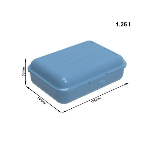 ROTHO LUNCHBOX FUN 1,25 LITER HORIZON BLUE NEU
