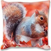 Bestlivings Kissenhülle Fotodruck 2er Pack Eichhörnchen 40 x 40 cm