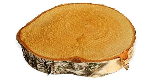 matches21 HOME & HOBBY Holzscheibe zum Basteln oder Dekorieren - 1 Stück naturbelassene Baumscheibe aus Birkenholz mit 15-20 cm Durchmesser - runde Holz Birkenscheibe als Deko Holzplatte Holzdeko