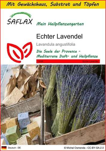 SAFLAX Blumensamen SAFLAX - Anzuchtset - Echter Lavendel