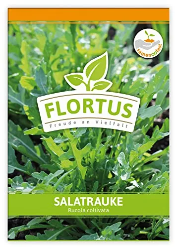 FLORTUS Salatrauke | Kräutersamen | Raukesamen | Rucolasamen | Samen zur Anzucht für Garten, Balkon, Küche & Fensterbank