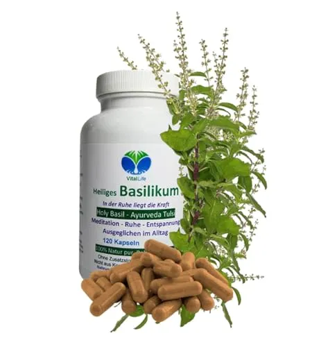 TULSIBASILIKUM 120 Kapseln Heiliges TULSI-BASILIKUM Holy-BASIL Ayurveda