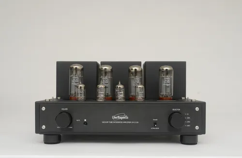 Röhrenverstärker Line Magnetic LM 211 IA