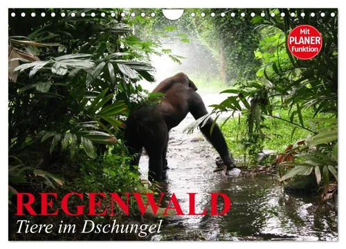 Regenwald. Tiere im Dschungel (Wandkalender 2026 DIN A4 quer), CALVENDO Monatska