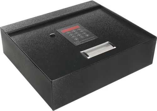 Profirst Möbeltresor Alpthal 1 - Elektronikschloss für höchste Sicherheit - Möbeltresor mit Elektronikschloss und Notschlüssel, ideal für Dokumente und Wertgegenstände. Robuster Stahl, kompakte Maße und einfach zu verankern.