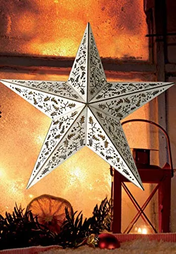 LED Stern aus Holz | mit 10 LED´s beleuchtet | kabellos | inkl. Fernbedienung | 40 cm | verschiedene Muster | Fensterstern | Holzstern | Weihnachtsdekoration | Adventsstern (40cm Mistelzweig)