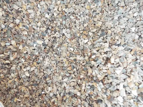 1kg Muschelgrit von Ostrea