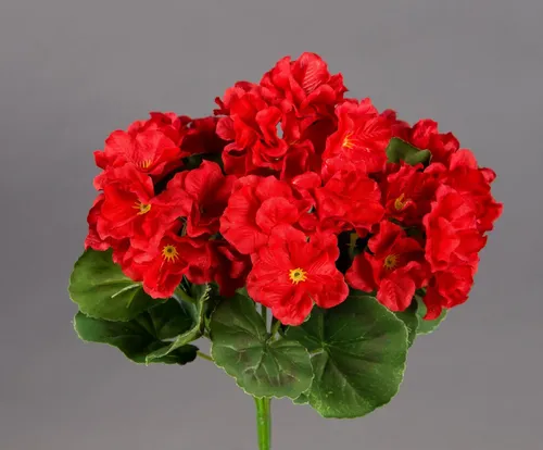 Kunstblume Künstliche Geranie ZF Kunstpflanzen künstliche Blumen Pflanzen Pelargonium, Seidenblumen Roß, Höhe 26 cm, Rot