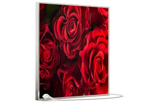 STEINFELD Heizsysteme Infrarotheizung, Bild, 350W 60x60cm, Inklusive Thermostat, viele Motive