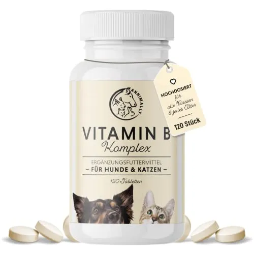 Hochdosierter Vitamin B Komplex für Hunde - 120 Tabletten - Vitamine für Hunde, ideal für mehr Energie und ein starkes Immunsystem. Enthält alle wichtigen B Vitamine sowie Vitamin K, L-Tryptophan und Selen. Reicht für bis zu 4 Monate!