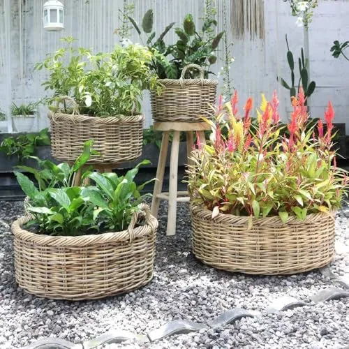 LEBENSwohnART Natur Rattankorb NORDERNEY Kubu Grey - Übertöpfe aus handgefertigtem Rattan, ideal für stilvolle Aufbewahrung. Mit praktischem Plastik-Inlay, das bei Bedarf entfernt werden kann. Maße: ca. 70x25x70cm.