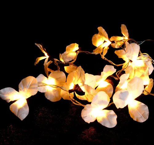 Exotische Lotusblüten LED Lichterkette Chiang Mai von Guru-Shop