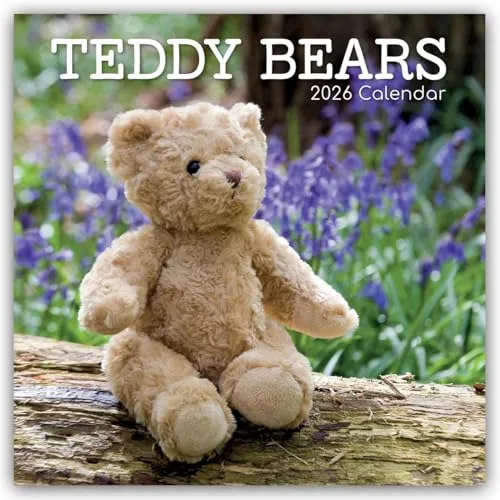 Gifted Stationery Co. Ltd | Teddybären 2026 von Flechsig Verlag