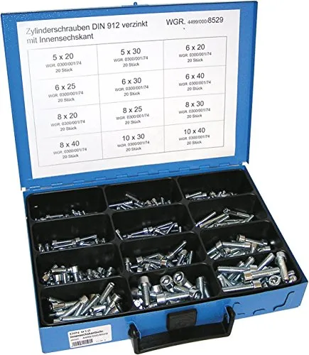 Dresselhaus Werkstatt-Set M5-M10 Innen-Sechskant-Schrauben - Schraubenschlüssel-Set mit hochwertigem Sortiment an Innen-Sechskant-Schrauben (M5-M10) für vielseitige Anwendungen in der Werkstatt.