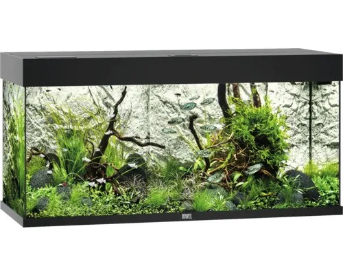 Aquarium JUWEL Rio 180 mit LED-Beleuchtung in schwarz von JUWEL Aquarium