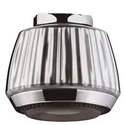 hansgrohe Brausekopf Selecta 28456000 - Innengewinde 1/2