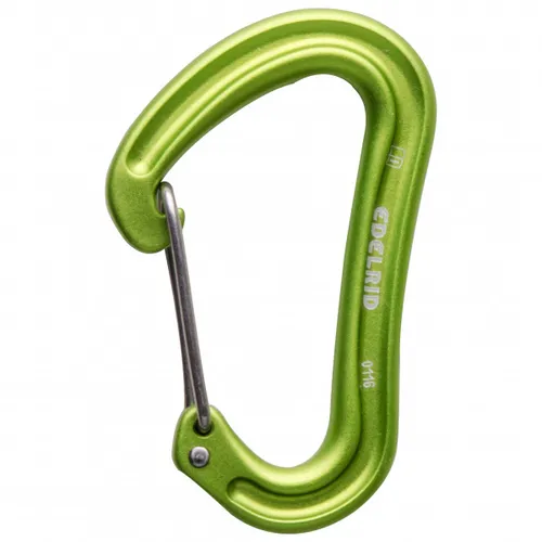 Edelrid - Nineteen G II - Schnappkarabiner grün