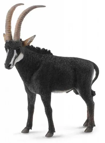 Riesenantilope - männlich