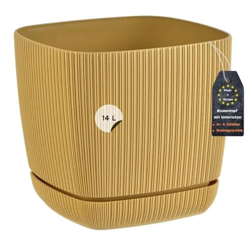 Engelland in gelb von ENGELLAND