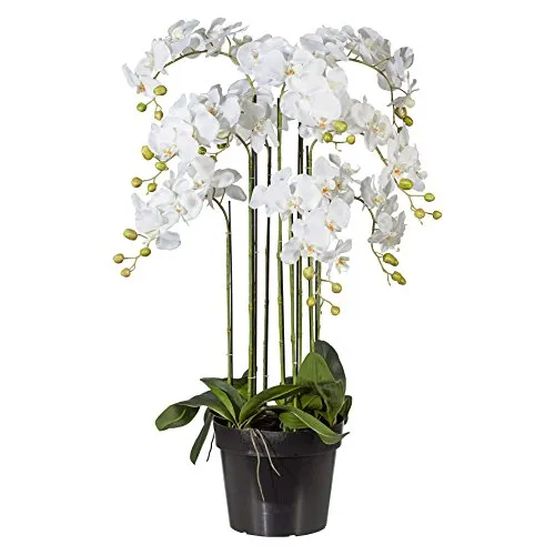 CREATIV green künstliche Phalaenopsis 110cm - Künstliche Pflanze für stilvolle Geschäftsräume, detailgetreue Blüten in Weiß, pflegeleicht und langlebig, ideal für eine elegante Atmosphäre.
