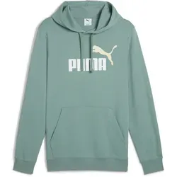 PUMA Herren ESS 2 Color No. 1 Logo Hoodie TR, Green Moon von PUMA