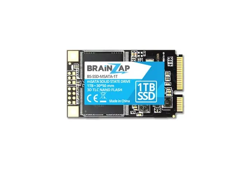 BRAINZAP 1TB mSATA SSD - Hochgeschwindigkeits Solid State Drive - Festplatte mit 1TB und 550MB/s Lesegeschwindigkeit, ideal für Notebooks und Laptops. Profitieren Sie von schneller Leistung und Stabilität dank 3D TLC NAND FLASH Technologie.