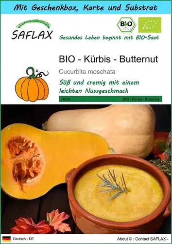 SAFLAX Gemüsesamen SAFLAX - Geschenkset - BIO - Kürbis - Butternut