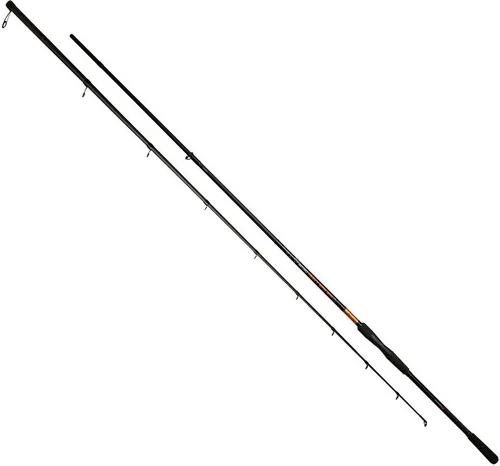 Mikado Intro Heavy Spinnrute Silber 3.00 m / 10-40 g Silber 3.00 m