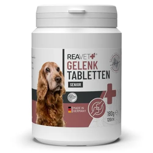 ReaVET Gelenktabletten für Senior Hunde - 120 Stück - Gelenk- & Knochenschutz für Hunde, speziell für ältere Hunde mit Grünlippmuschel und Teufelskralle zur Unterstützung bei Arthrose und Arthritis.