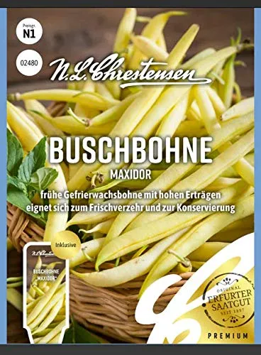 Buschbohne Maxidor N.L.Chrestensen Samen 2480
