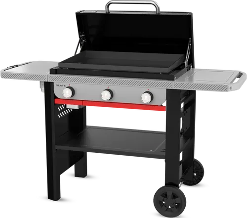 Gasgrills bis 800 Euro von Weber