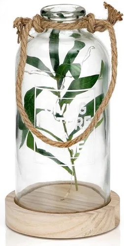 BRUBAKER LED Dekolicht Lichterflasche Giving Nature a Home - Farn oder Olivenzweig, LED Lichterkette, Warmweiß, Dekoleuchte mit 10 LED Sternen, Party Licht Deko