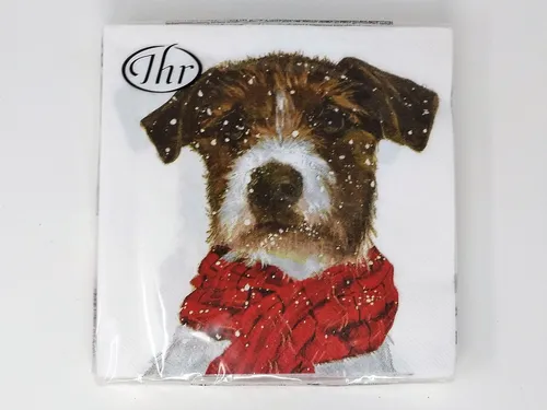 Papierservietten Rot von IHR Ideal Home Range