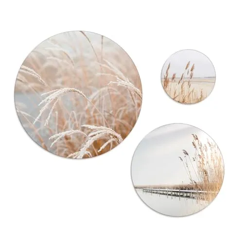 artissimo, Bilder-Set bestehend aus 3 runden Wandbildern, AG5311, Wandkreise 55cm/40cm/25cm, moderne Bilderwand, Wandbilder, Wanddeko Kreise, Bild rund, beige, Natur, Pampasgras