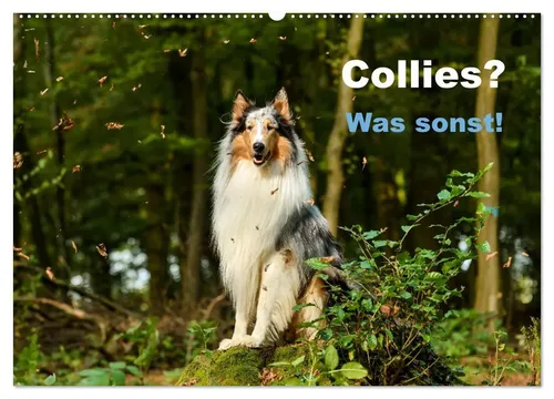 Yvonne Janetzek | Collies? Was sonst! (Wandkalender 2026 DIN A2 quer),...